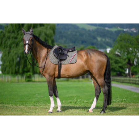 Tapis de selle TH Jumping Stanford