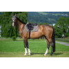 Tapis de selle TH Jumping Stanford