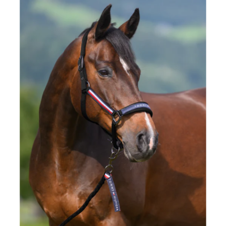 Headcollar & Rope Yale