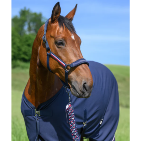 Halster & Leadrope Yale