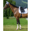 Liberty jumping saddle pad