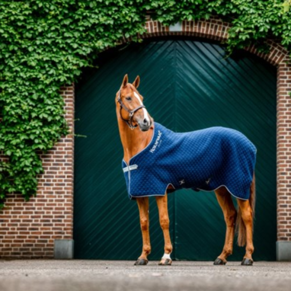Horseware Thermal Cooler