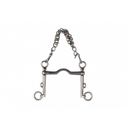 Dressage curb bit with tongue port
