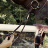 Collier de chasse à pont réglable