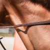 half-round rubber reins with decorative stitching