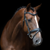 English IRH Combined Sleek Hoofdstel