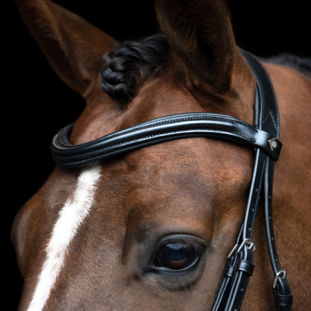 English IRH Combined Sleek bridle