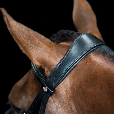 English IRH Combined Sleek bridle