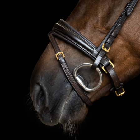 English IRH Combined Sleek Hoofdstel