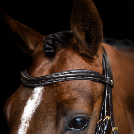 English IRH Combined Sleek bridle