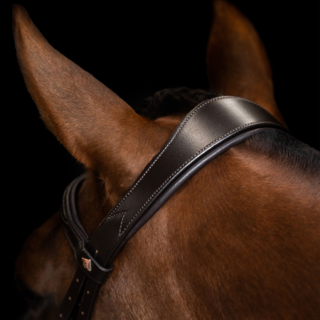 English IRH Combined Sleek bridle