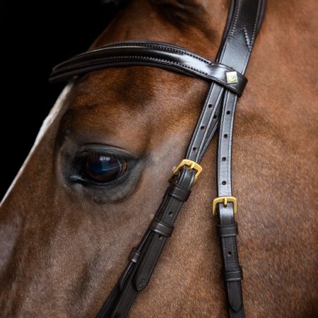 English IRH Combined Sleek bridle