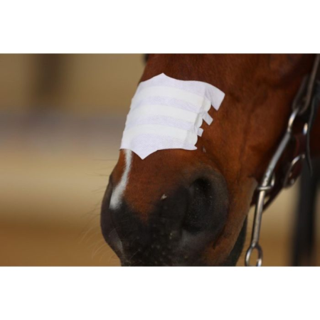 Flair Nasal