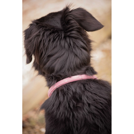 Collier pour chien PENELOPE "Billie"