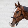 Rope Halter
