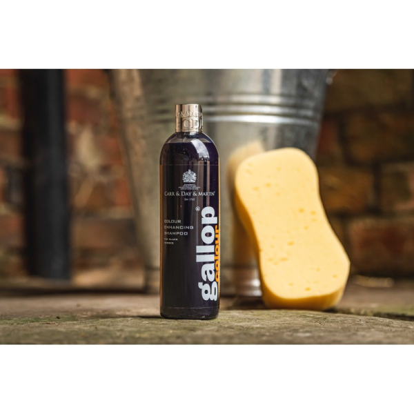 Carr & Day & Martin Gallop® Black Horses Shampoo