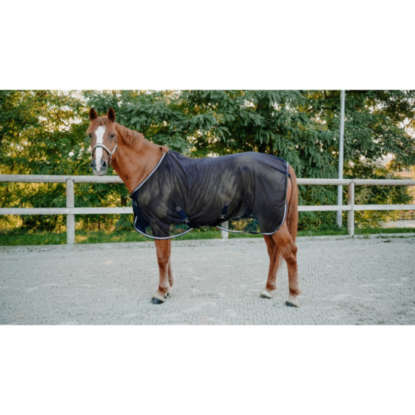 Chemise EQUITHÈME - Serenity