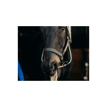 ThinLine Busy Buddy voor Hoofdstel