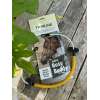 ThinLine Busy Buddy voor Hoofdstel