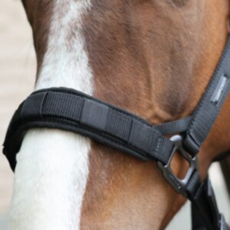 2-in-1 Halster