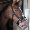FlexiCare muzzle straps