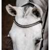 Horseware Micklem® Diamante Competition Bridle