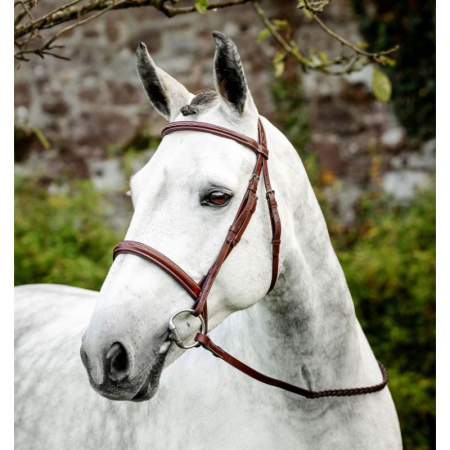 Horseware® Hunter Cavesson Bridle with Reins