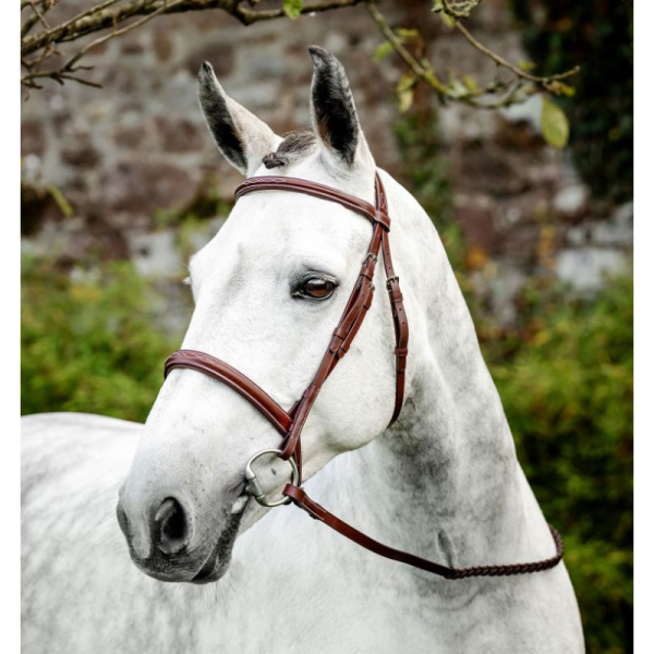Bridon avec rênes Horseware® Hunter Cavesson