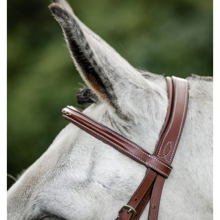 Horseware® Hunter Cavesson Hoofdstel met Teugels