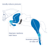 PROLITE Narrow Long Girth
