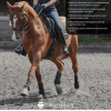 EQUILIBRIUM Stretch & Flex Training Wraps