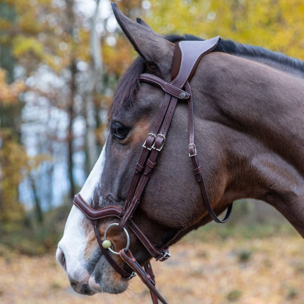 Précision Bridle with Y Noseband