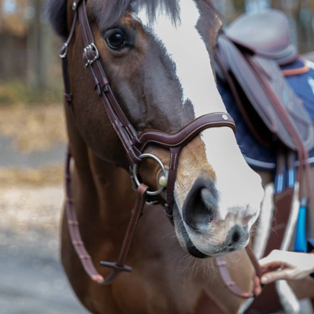 Précision Bridle with Y Noseband