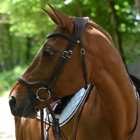Précision Bridle with Y Noseband