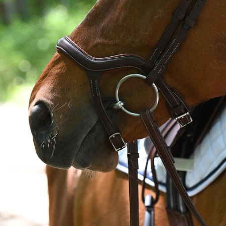 Précision Bridle with Y Noseband