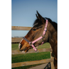 Licol NORTON - Crystal