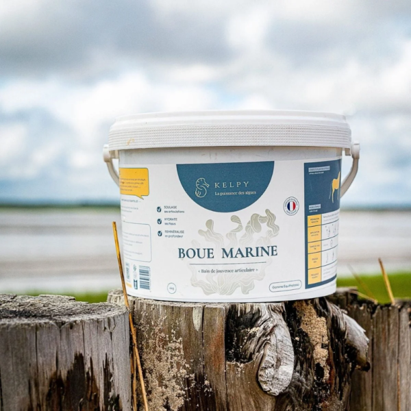 Noirmoutier Marine Mud – Equine Joint Rejuvenation Treatment