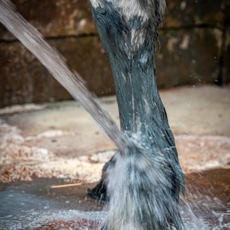 Noirmoutier Marine Mud – Equine Joint Rejuvenation Treatment
