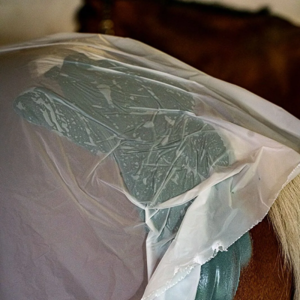 Kelpy Biodegradable Wrapping Sheet – Eco-Friendly Film for Equine Care