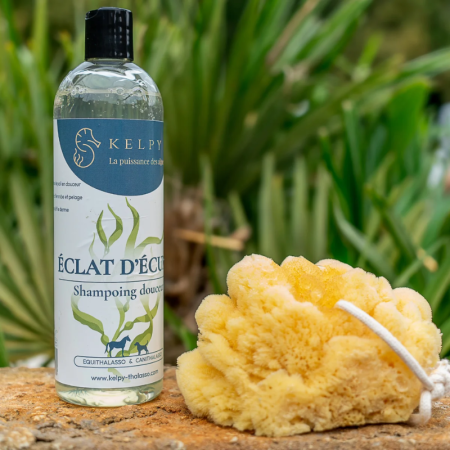 Kelpy Éclat d’Écume Shampoo – Gentle Seaweed Shampoo for Animals
