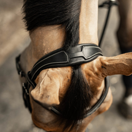 HFI Pro Line – Gecombineerd hoofdstel "Milano"