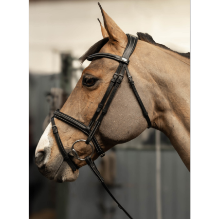 HFI Pro Line – Bridon combiné « Milano »
