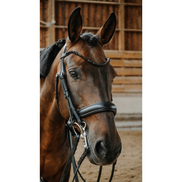 NORTON Onyx Double Bridle