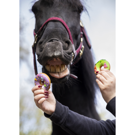 Stable Party Donuts