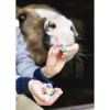 Sweet Candy – Stable Party