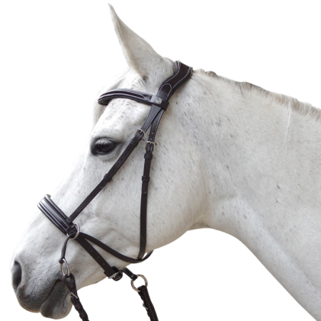 Bridon CANTER bitless Evolution