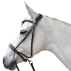 Bridon CANTER bitless Evolution