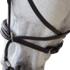 Bridon CANTER bitless Evolution