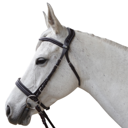 Bridon CANTER bitless Evolution