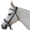 Bridon CANTER bitless Evolution